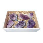 Amethyst Druze Cluster Display Box Wt: 519g (7 Pcs ) Brazil